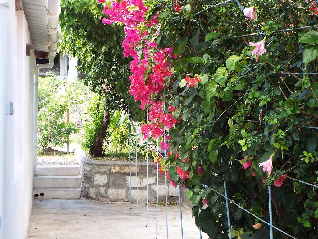 Le Paradiso Apartments Bambou Kültér fotó